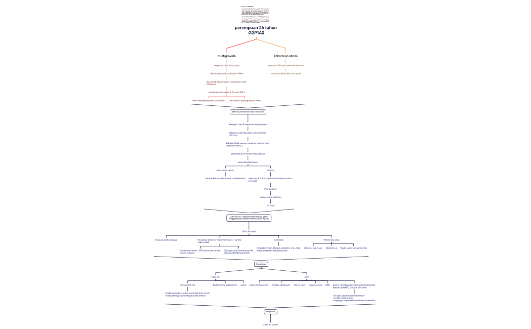 perempuan 26 tahun G2P1A0