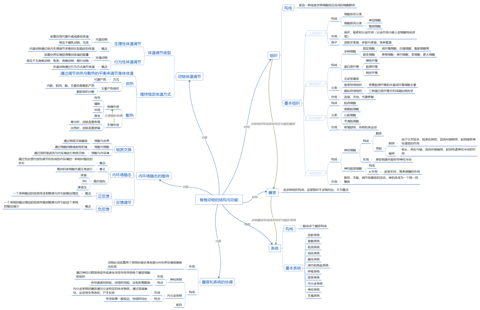 脊椎动物的结构与功能