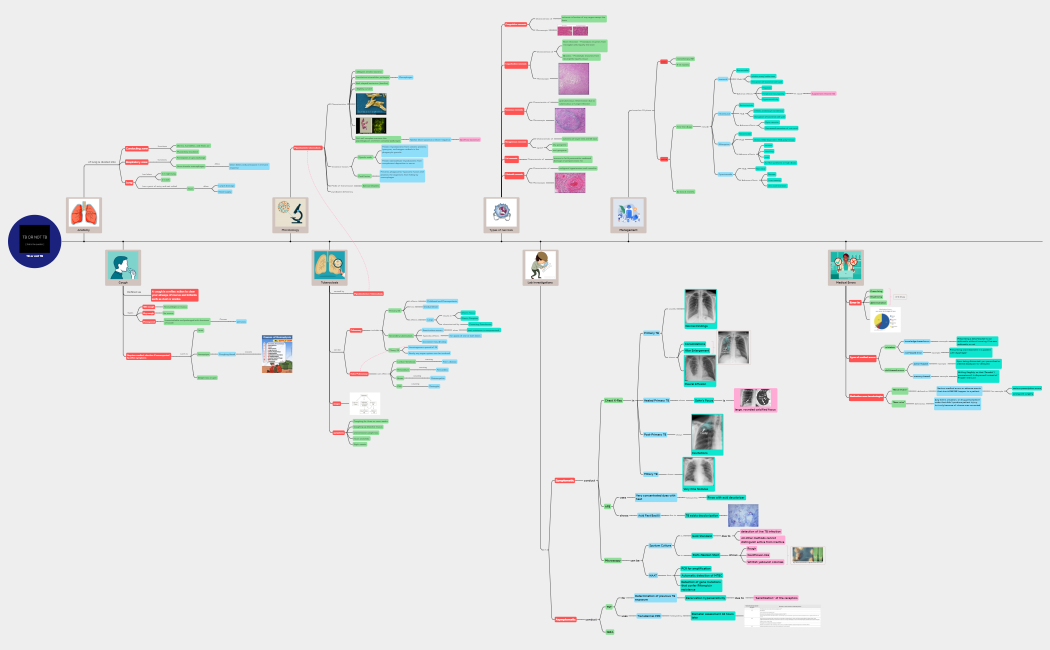 TB_or_not_TB-sNpQ7n-WZQbcMK-25726