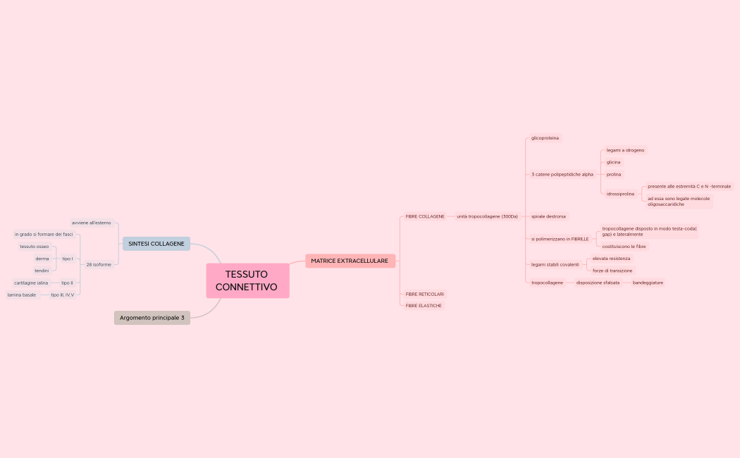 TESSUTO CONNETTIVO 