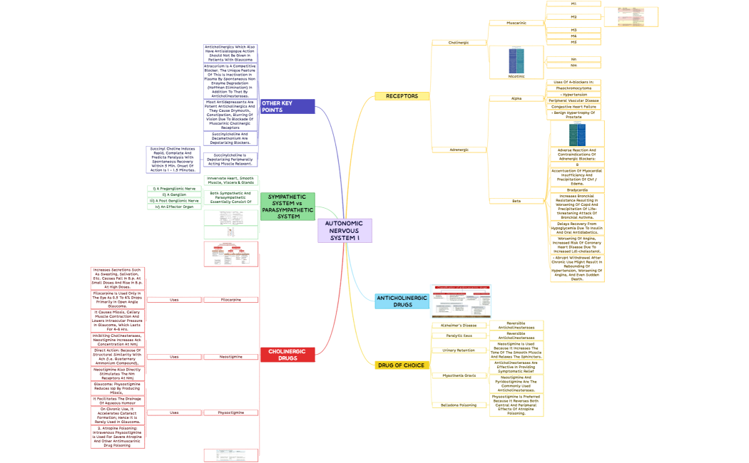 AUTONOMIC NERVOUS SYSTEM 1