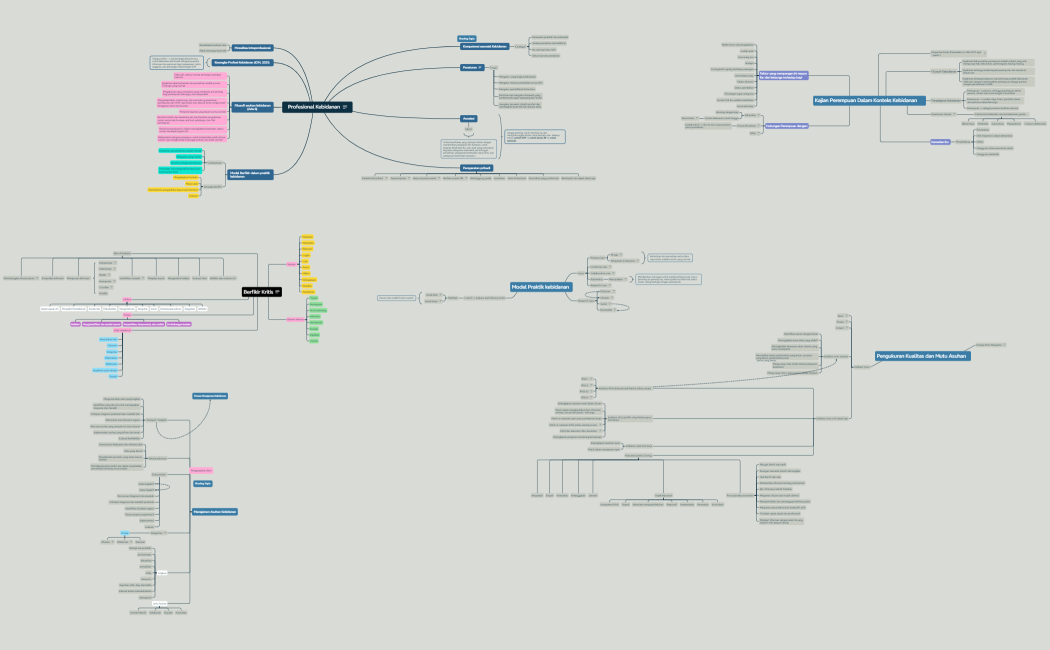 Profesional Kebidanan