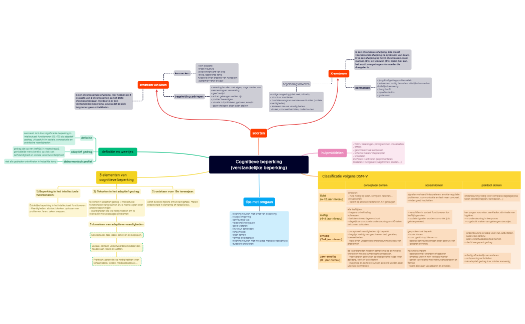 Cognitieve beperking (verstandelijke beperking)