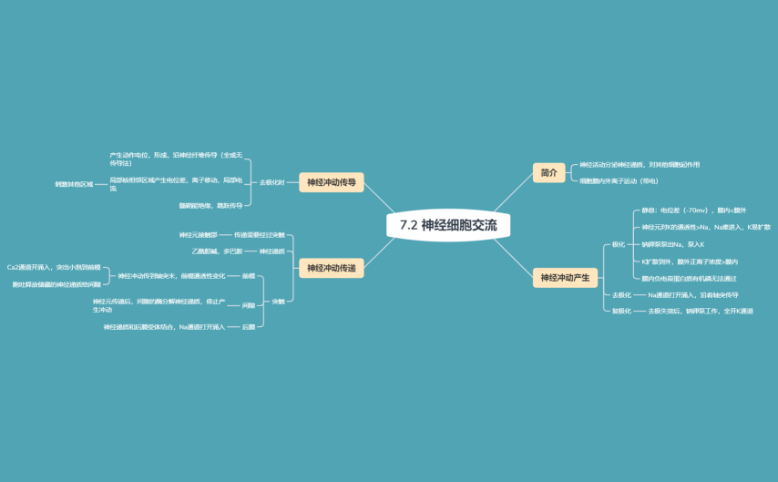 7.2 神经细胞交流