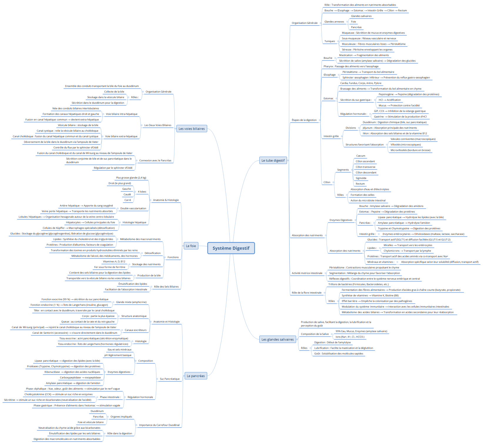 Système Digestif