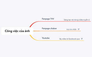 công việc của ánh