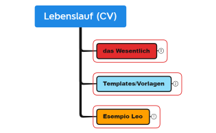 Lebenslauf (CV)