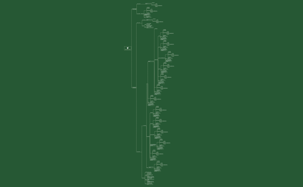 Программа курса.xmind
