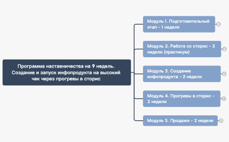 Программа наставничества на 9 недель 
