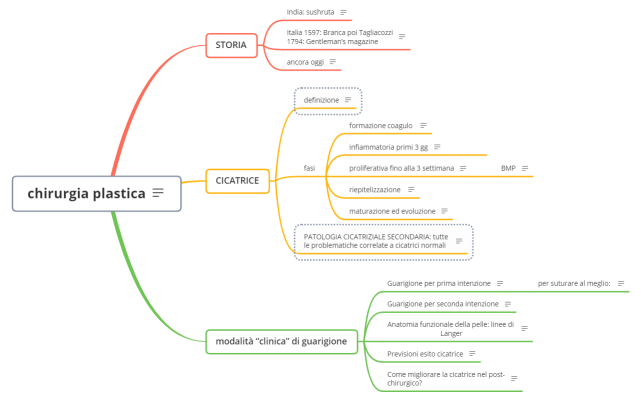 plastica.1 intro-cicatricexmind