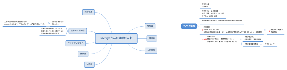sachiyoさんの理想の未来