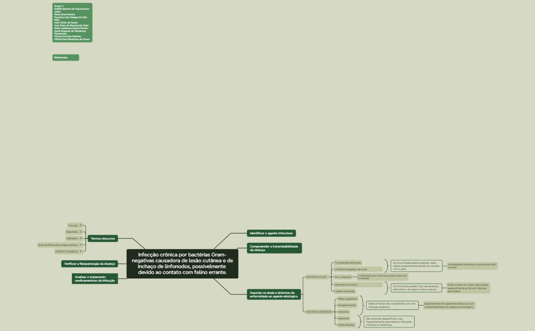 Infecção crônica por bactérias Gram-negativas causadora de lesão cutânea e deinchaço de linfonodos, possivelmente devido ao contato com felino errante.