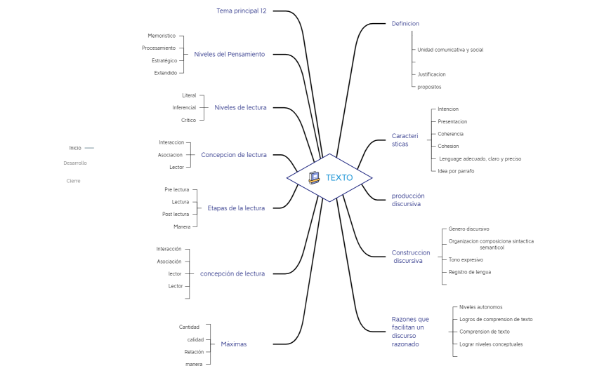 TEXTO ( organizador 3)