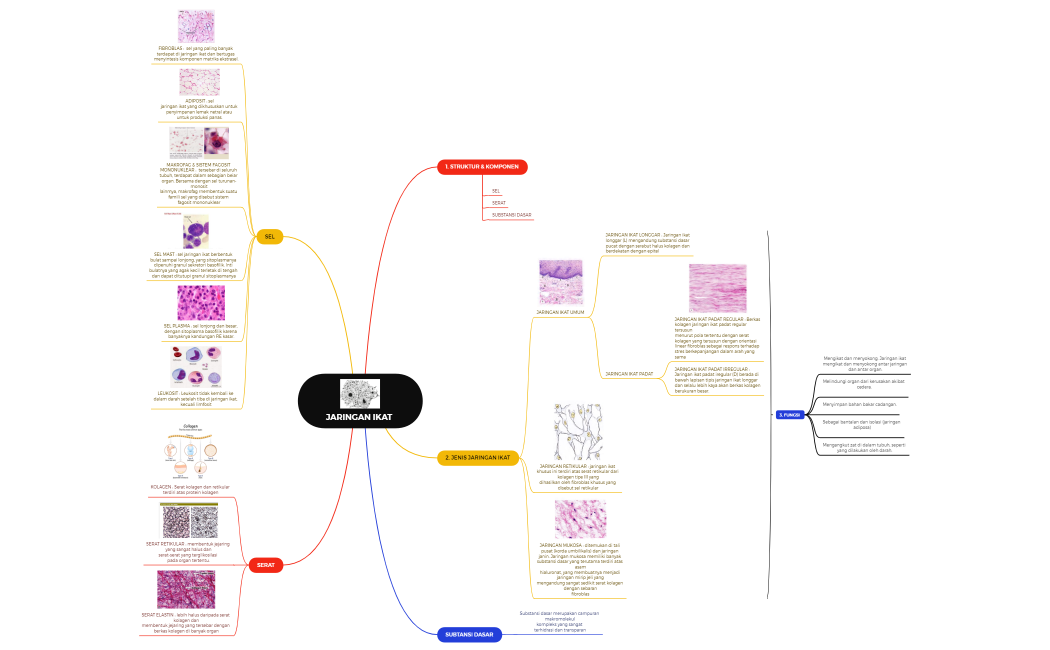 JARINGAN IKAT .xmind