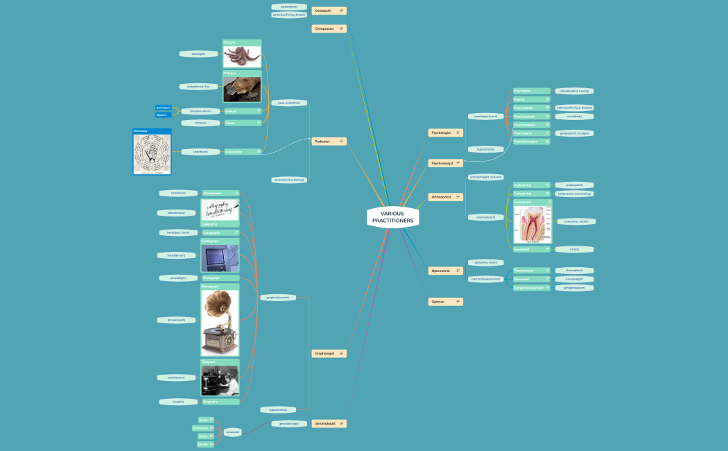 VARIOUS PRACTITIONER S