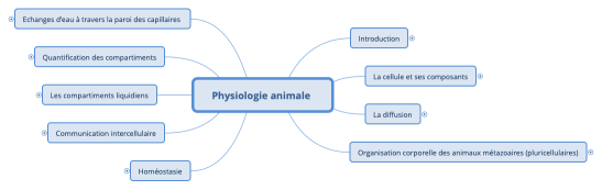 Physiologie animale 