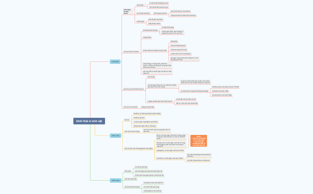 hình thái vi sinh vật