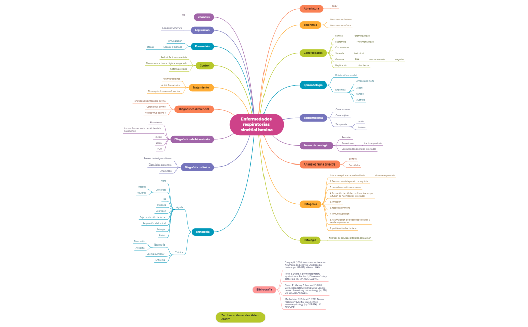 Enfermedades respiratorias sincitial bovina.xmind