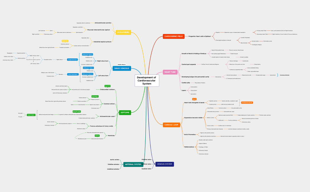 Cardiovascular System 