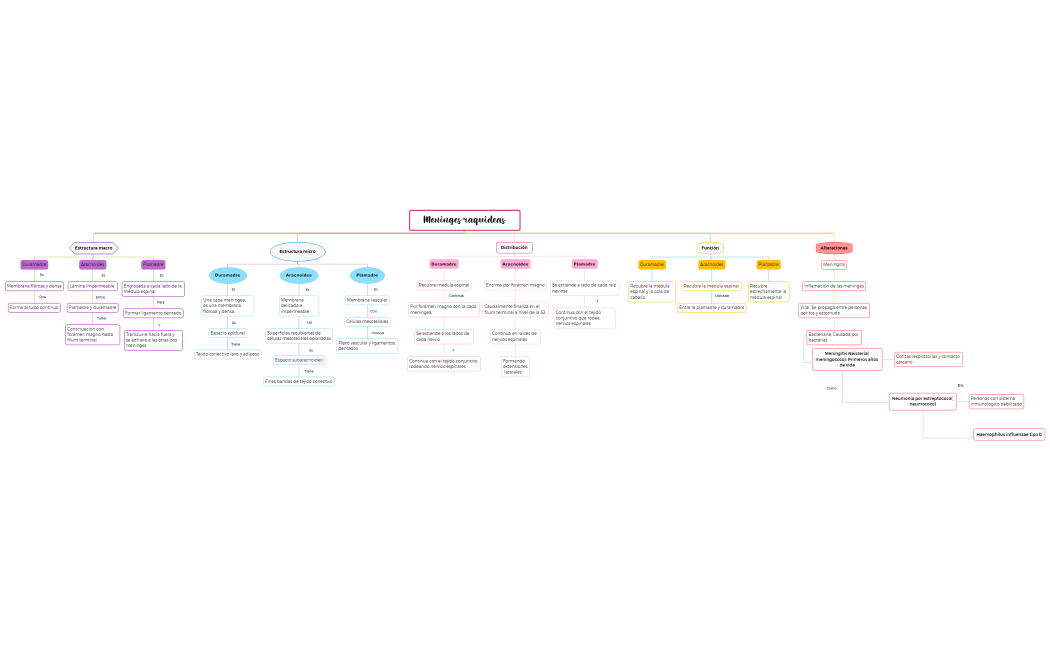 Meninges raquideas Equipo 4