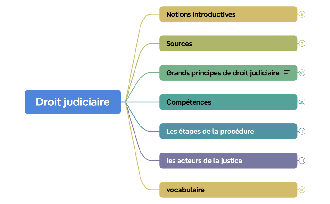 Droit judiciaire