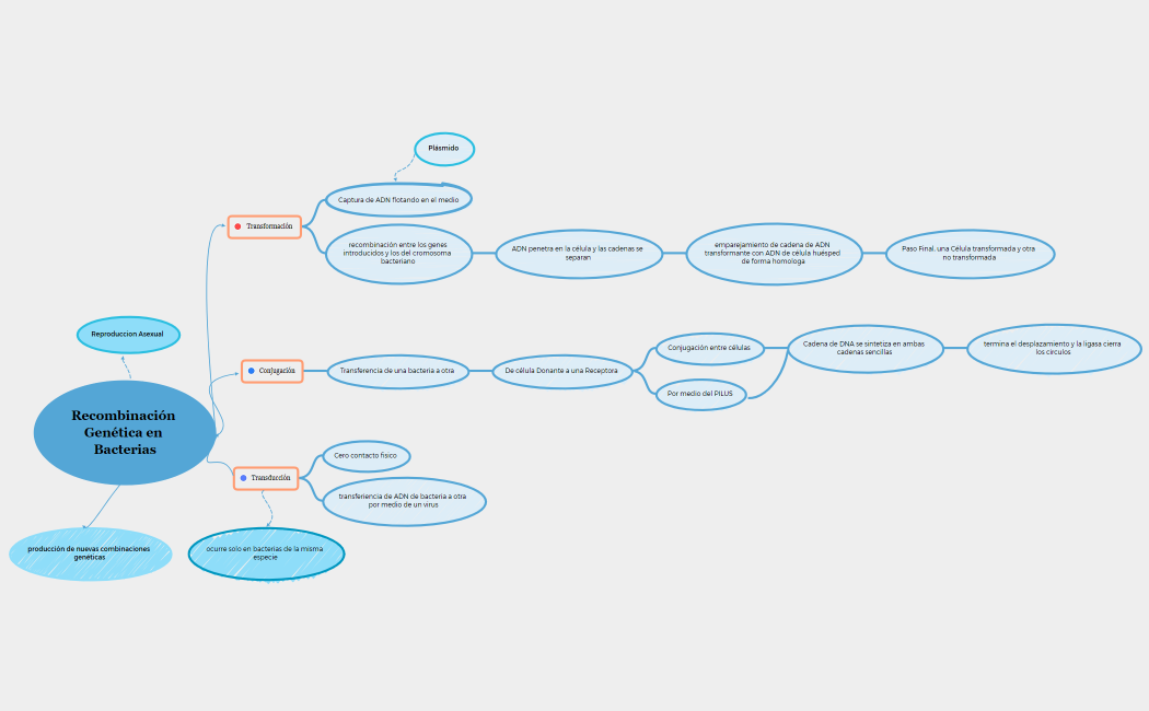 Recombinación Genética en Bacterias