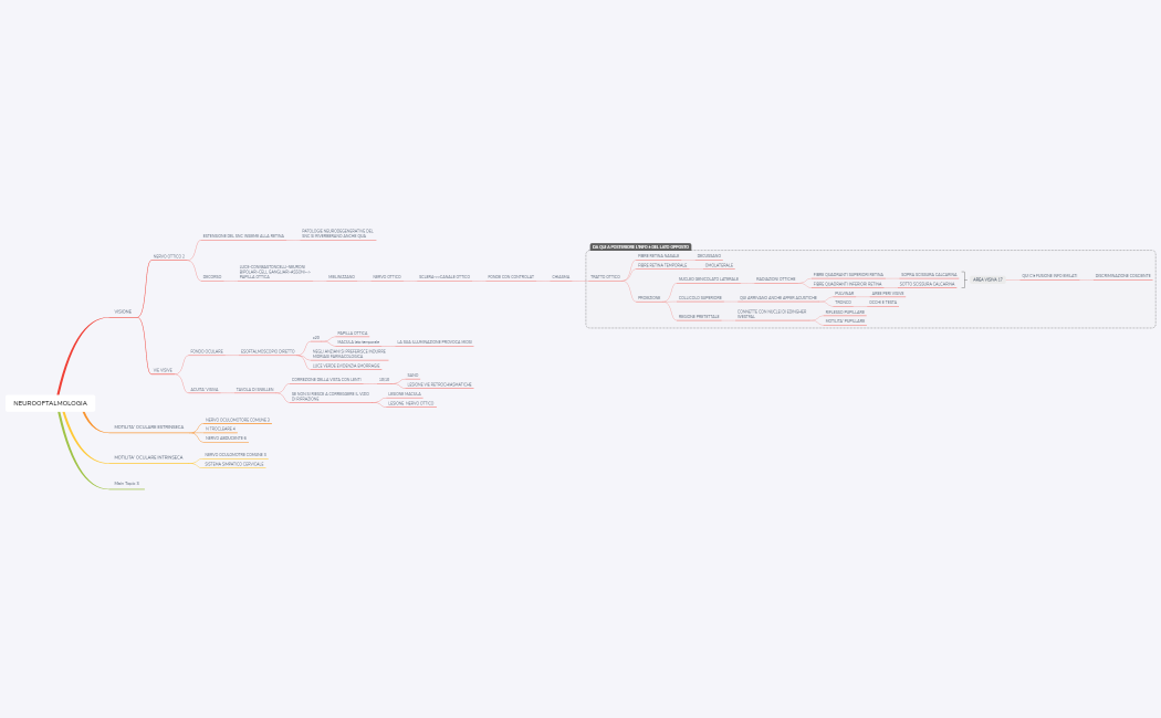 NEUROOFTALMOLOGIA