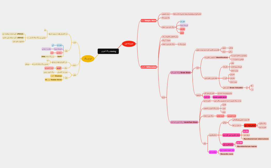   رنگ آمیزی staning