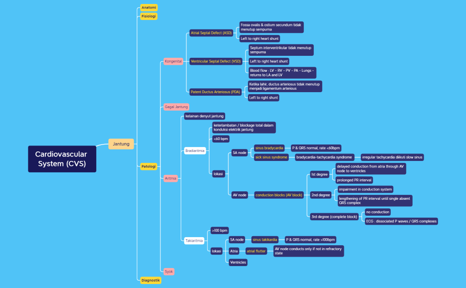 Cardiovascular System (CVS)