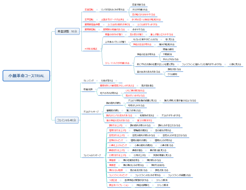 小顔革命コースTRIAL