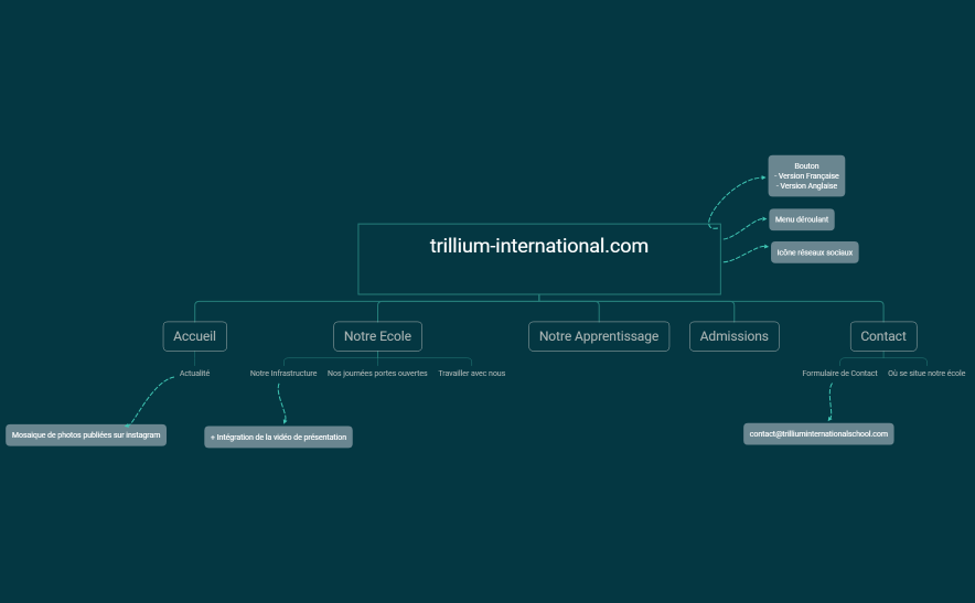 trillium-international