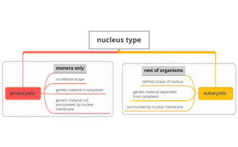 nucleus type 
