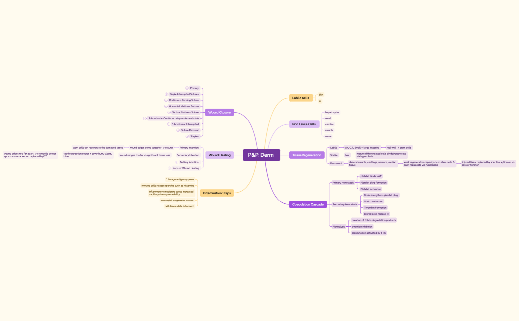 P&P Derm 