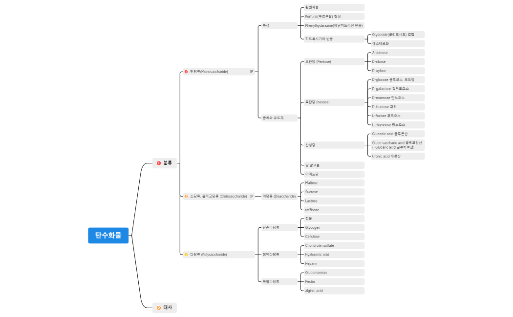 탄수화물.xmind