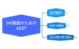 6S3T