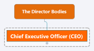 The Director Bodies