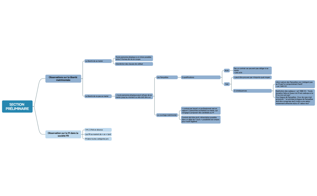 SECTION PRÉLIMINAIRE