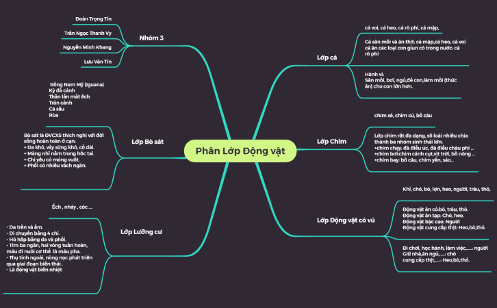 Phân Lớp Động Vật