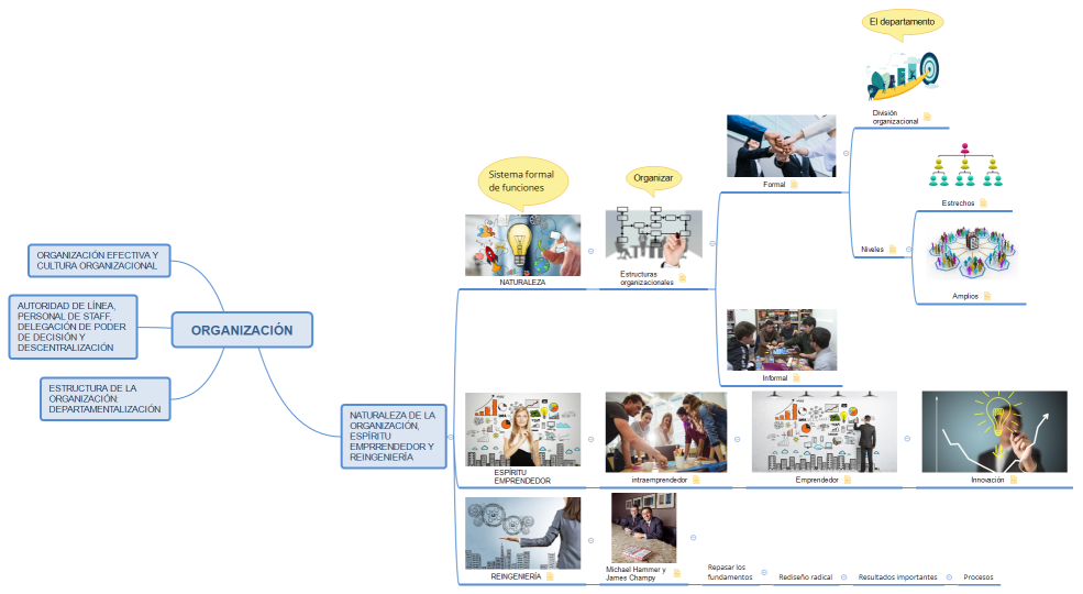 ORGANIZACIÓN