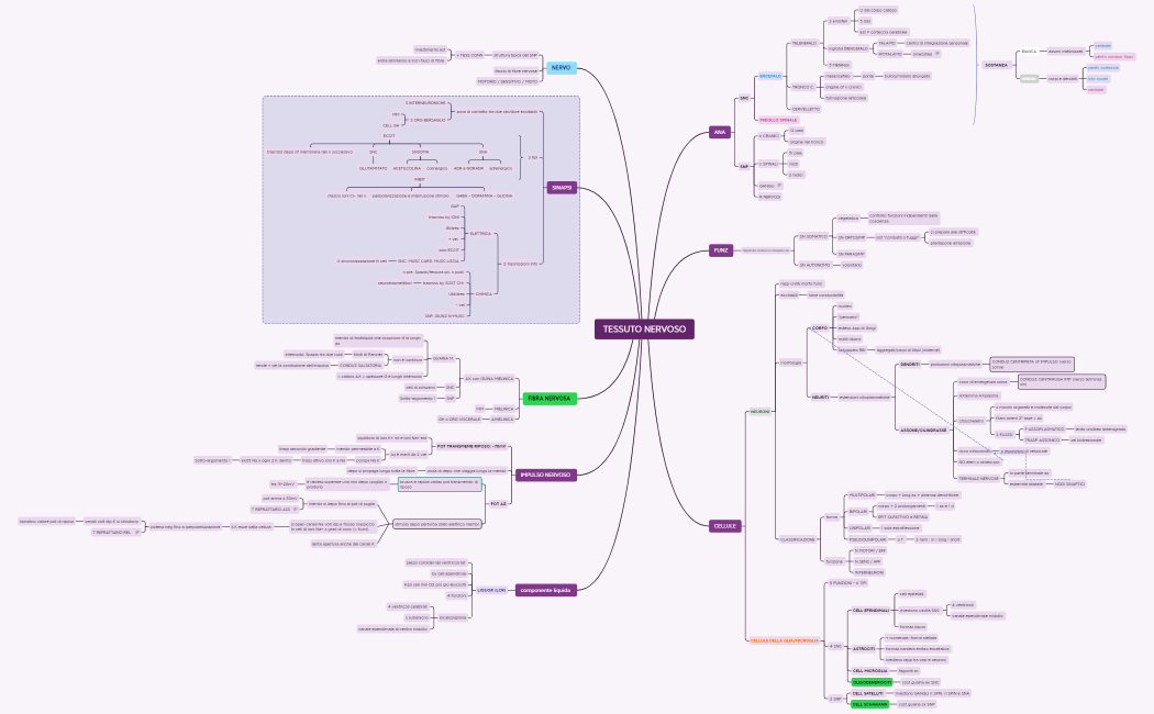 TESSUTO NERVOSO