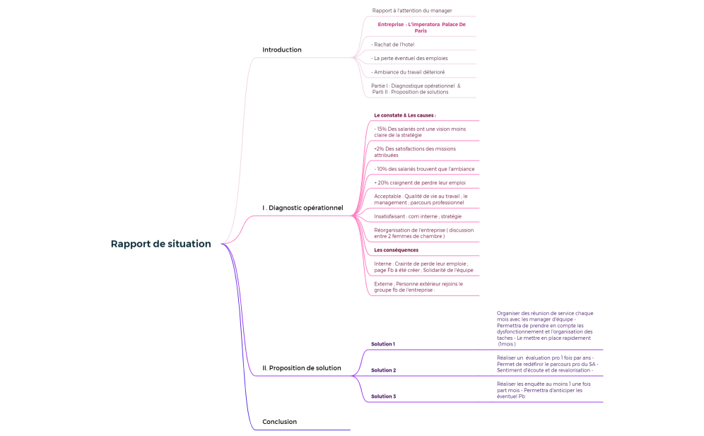 Rapport de situation - RH.xmind