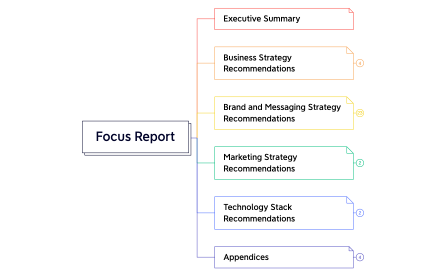 Focus Report