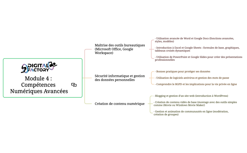 Module 4 : Compétences Numériques Avancées (Niveau Expert)