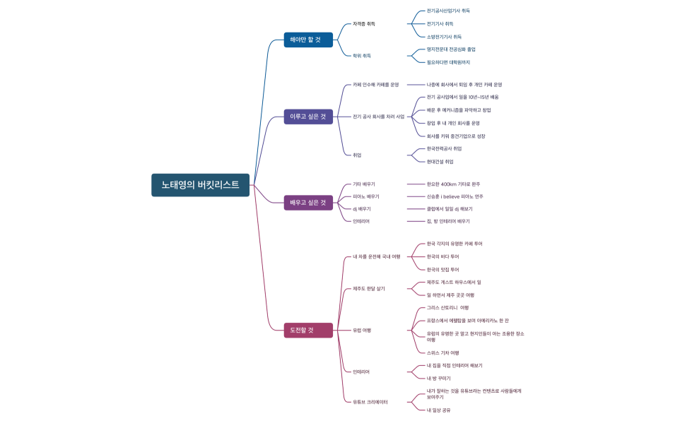 노태영의 버킷리스트