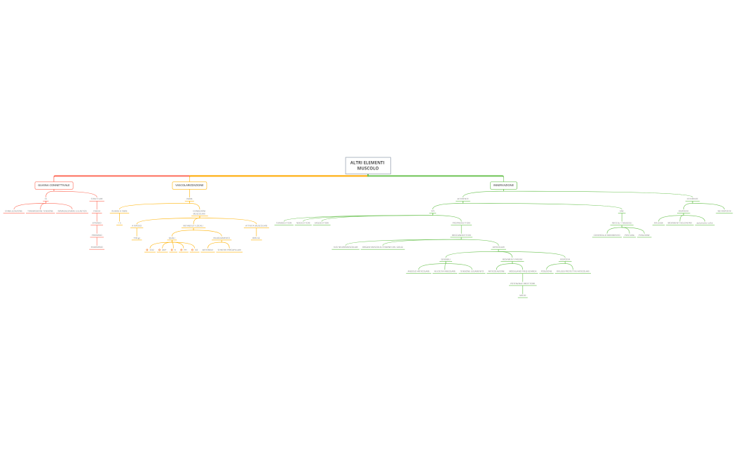 ALTRI ELEMENTI MUSCOLO