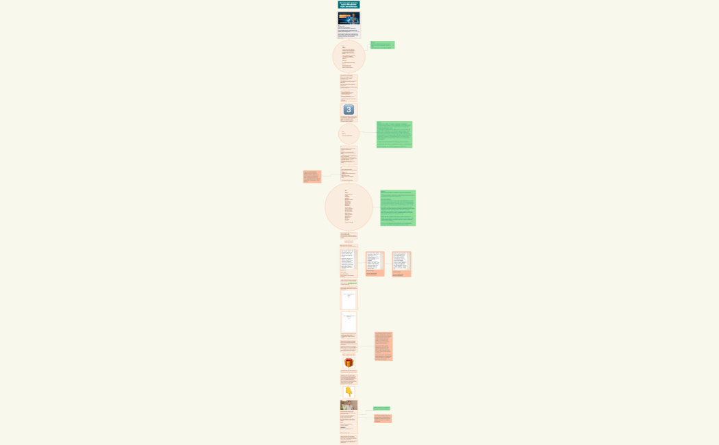 Структура компании