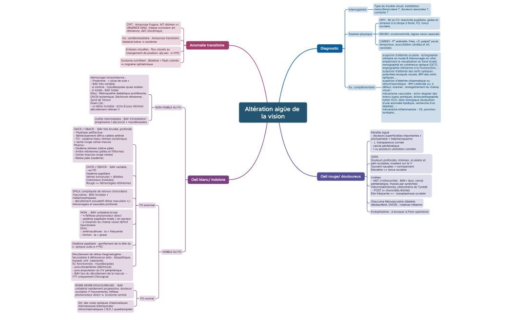 Altération aigüe de la vision