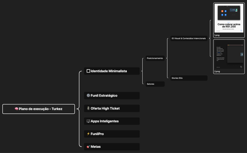 🧠 Plano de execução - Turkez.xmind