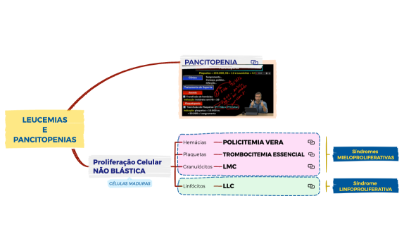 CLM 21 - LEUCEMIAS E PANCITOPENIAS X