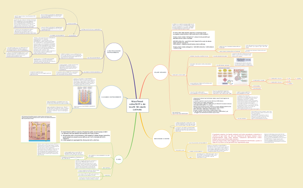 REGOLAZIONE OSMOLARITA' e del VOLUME DEI LIQUIDI CORPOREI 